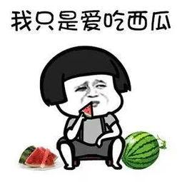 吃娱乐圈瓜应该去哪里,揭秘热门明星幕后故事，吃瓜指南大放送！  第1张